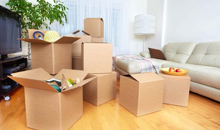 Best Movers In Dc Area Affordable Furniture Moving Experts Near